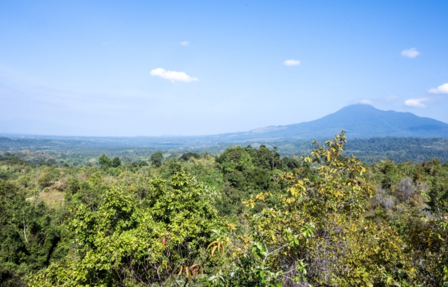Read more about the article Mengenal PT Aceh Nusa Indra Puri, Perusahaan Konsesi Hutan yang Dicabut Izinnya